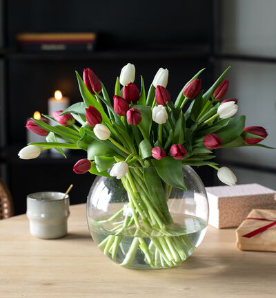 Rød og hvit tulipanbukett stor